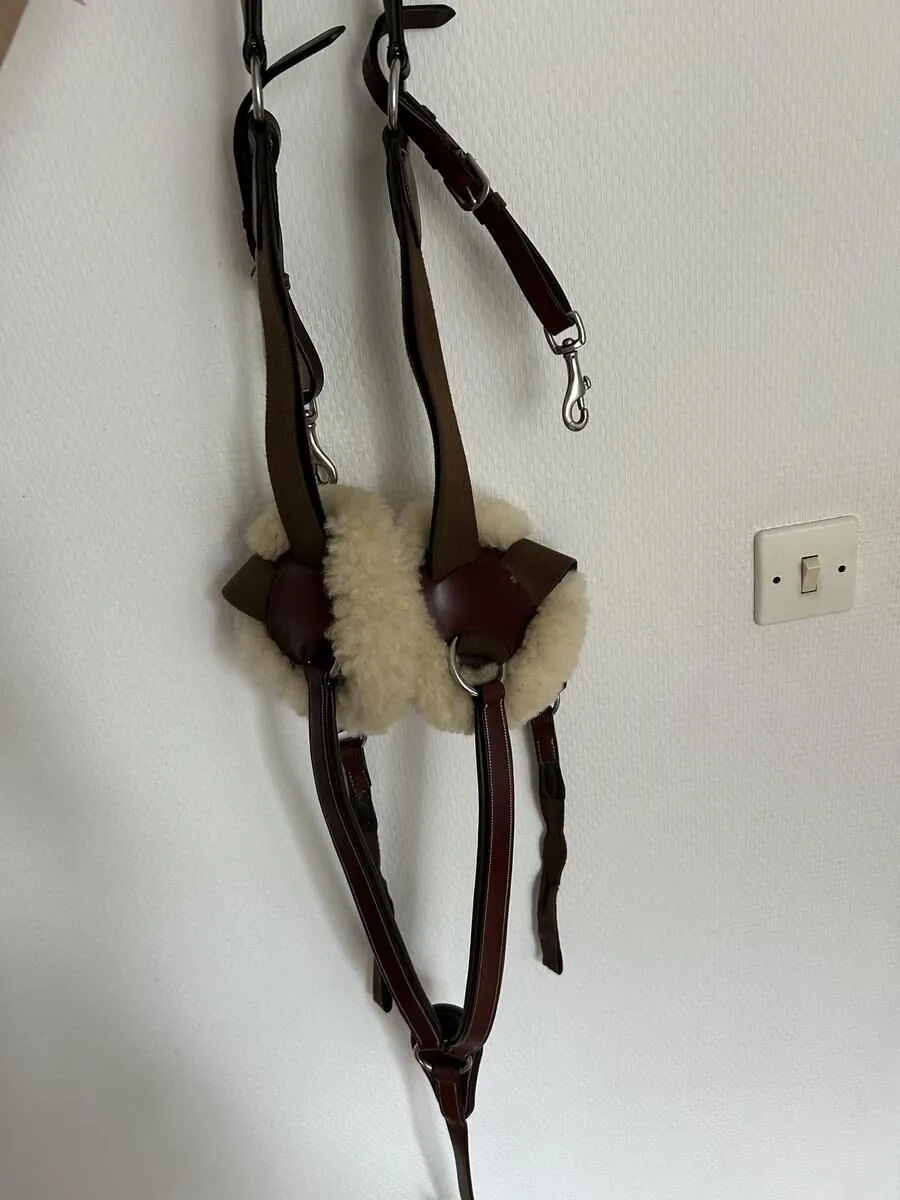 Collier de chasse Lexington