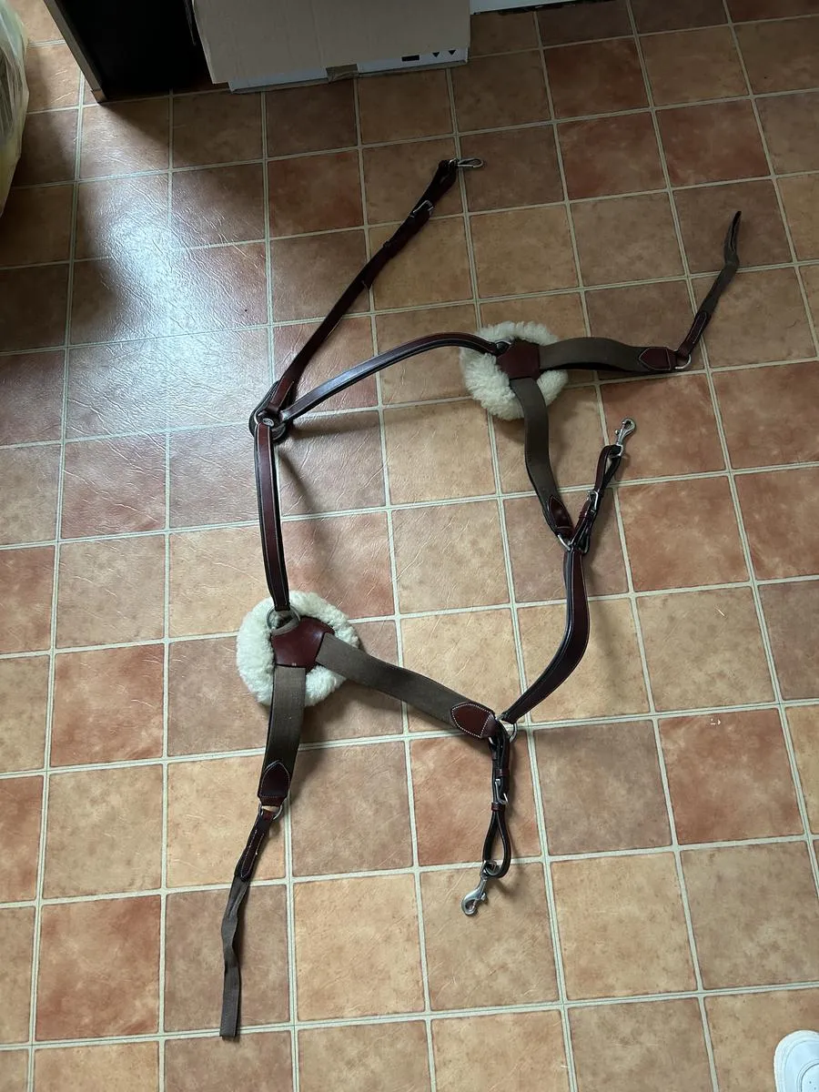 Collier de chasse Lexington