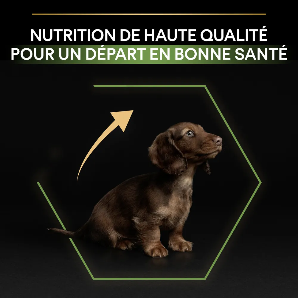 Croquettes chiot pour le renforcement des défenses naturelles - 3 kg